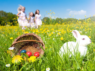 Ostern für Schlitzohren im Vierländereck